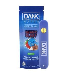 BERRY BLAST-1G ALL-IN-ONE DISPOSABLE VAPE PEN delivering 5 powerful benefits with bold berry flavor and no weak hits